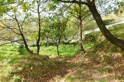 Tomt i Seia, Guarda, Seia - € 70 000 | Ref: 382220104 - foto 5