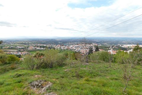 Tomt i Seia, Guarda, Seia - € 70 000 | Ref: 382220104 - foto 6