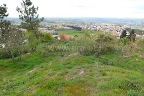 Tomt i Seia, Guarda, Seia - € 70 000 | Ref: 382220104 - foto 12