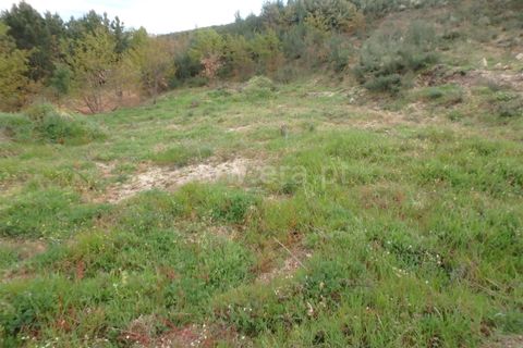 Helårsgrund i Seia, Guarda, Seia - € 19.500 | Ref: 382220195 - foto 4