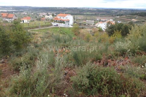 Helårsgrund i Seia, Guarda, Seia - € 19.500 | Ref: 382220195 - foto 8