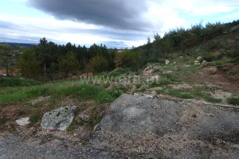 Helårsgrund i Seia, Guarda, Seia - € 19.500 | Ref: 382220195 - foto 10