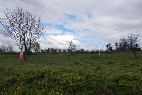 Helårsgrund i Seia, Guarda, Seia - € 8.000 | Ref: 382220223 - foto 4