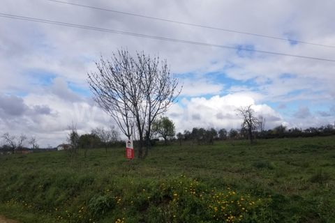 Helårsgrund i Seia, Guarda, Seia - € 8.000 | Ref: 382220223 - foto 5