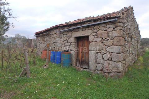 Farm i Seia, Guarda, Seia - € 40.000 | Ref: 382220109 - foto 1