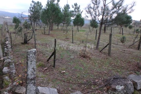 Farm i Seia, Guarda, Seia - € 40.000 | Ref: 382220109 - foto 2