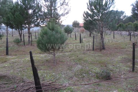 Farm i Seia, Guarda, Seia - € 40.000 | Ref: 382220109 - foto 3