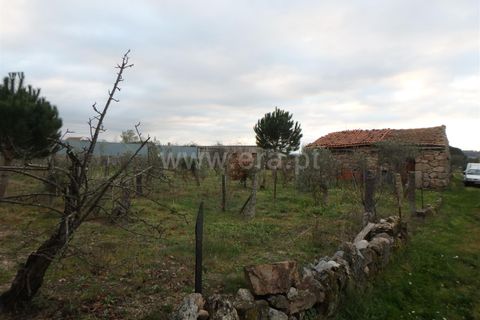 Farm i Seia, Guarda, Seia - € 40.000 | Ref: 382220109 - foto 4