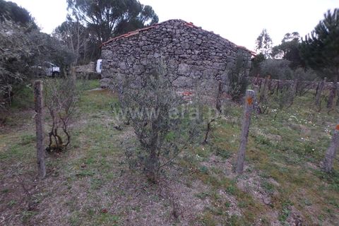 Farm i Seia, Guarda, Seia - € 40.000 | Ref: 382220109 - foto 5