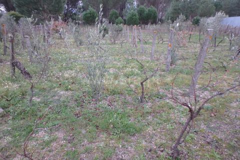 Farm i Seia, Guarda, Seia - € 40.000 | Ref: 382220109 - foto 7