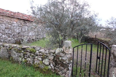 Farm i Seia, Guarda, Seia - € 40.000 | Ref: 382220109 - foto 8