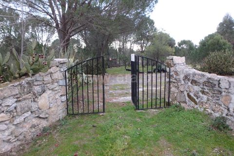 Farm i Seia, Guarda, Seia - € 40.000 | Ref: 382220109 - foto 9