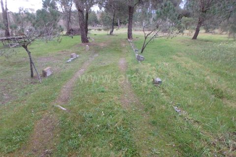 Farm i Seia, Guarda, Seia - € 40.000 | Ref: 382220109 - foto 11