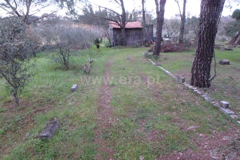 Farm i Seia, Guarda, Seia - € 40.000 | Ref: 382220109 - foto 12