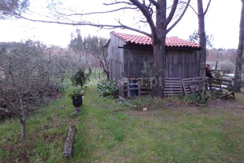 Farm i Seia, Guarda, Seia - € 40.000 | Ref: 382220109 - foto 13