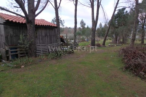 Farm i Seia, Guarda, Seia - € 40.000 | Ref: 382220109 - foto 14
