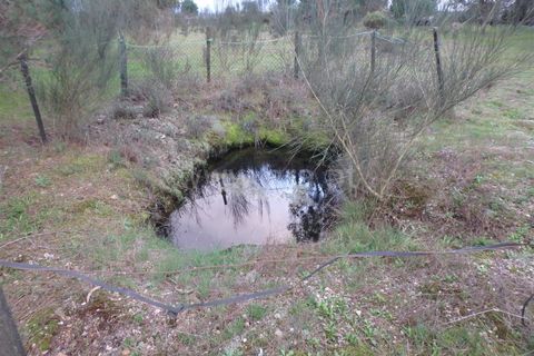 Farm i Seia, Guarda, Seia - € 40.000 | Ref: 382220109 - foto 15