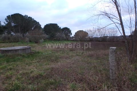 Farm i Seia, Guarda, Seia - € 40.000 | Ref: 382220109 - foto 17