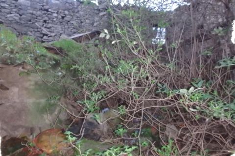 Villa i Seia, Guarda, Seia - € 17.500 | Ref: 382220110 - foto 5