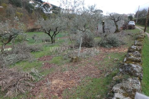 Farm i Seia, Guarda, Seia - € 82.500 | Ref: 382220201 - foto 4