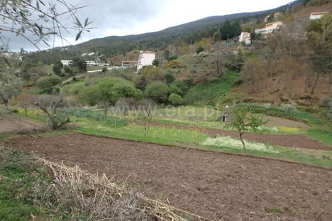 Farm i Seia, Guarda, Seia - € 82.500 | Ref: 382220201 - foto 5