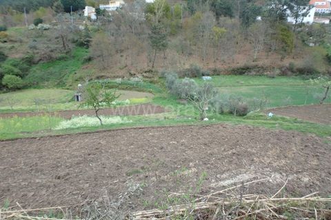 Farm i Seia, Guarda, Seia - € 82.500 | Ref: 382220201 - foto 6