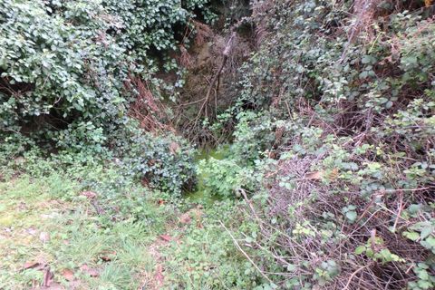 Farm i Seia, Guarda, Seia - € 82.500 | Ref: 382220201 - foto 8