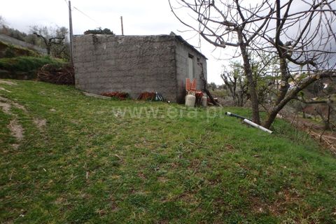 Farm i Seia, Guarda, Seia - € 82.500 | Ref: 382220201 - foto 9