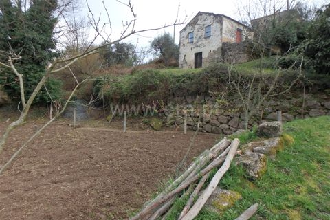 Farm i Seia, Guarda, Seia - € 82.500 | Ref: 382220201 - foto 10