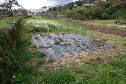 Farm i Seia, Guarda, Seia - € 82.500 | Ref: 382220201 - foto 11