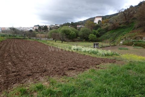 Farm i Seia, Guarda, Seia - € 82.500 | Ref: 382220201 - foto 13