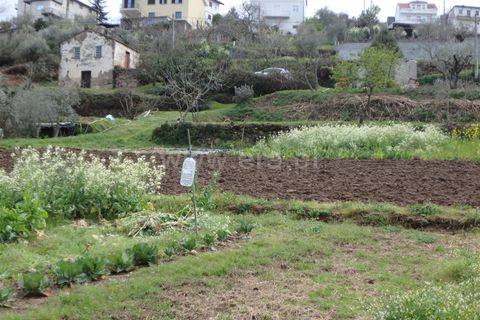 Farm i Seia, Guarda, Seia - € 82.500 | Ref: 382220201 - foto 14