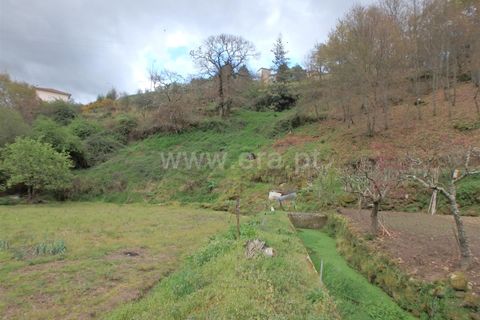 Farm i Seia, Guarda, Seia - € 82.500 | Ref: 382220201 - foto 15