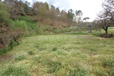 Farm i Seia, Guarda, Seia - € 82.500 | Ref: 382220201 - foto 16