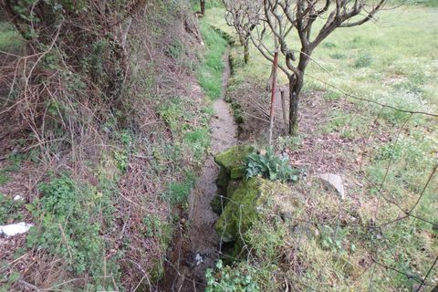 Farm i Seia, Guarda, Seia - € 82.500 | Ref: 382220201 - foto 17