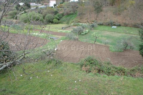 Farm i Seia, Guarda, Seia - € 82.500 | Ref: 382220201 - foto 18