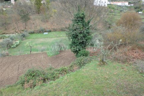 Farm i Seia, Guarda, Seia - € 82.500 | Ref: 382220201 - foto 19
