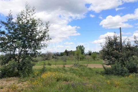 Helårsgrund i Gouveia, Guarda, Gouveia - € 25.000 | Ref: 382220271 - foto 2