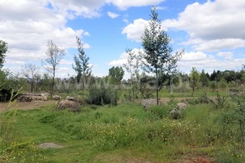 Helårsgrund i Gouveia, Guarda, Gouveia - € 25.000 | Ref: 382220271 - foto 4