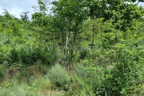 Helårsgrund i Seia, Guarda, Seia - € 30.000 | Ref: 382220302 - foto 2