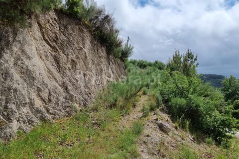 Helårsgrund i Seia, Guarda, Seia - € 30.000 | Ref: 382220302 - foto 3