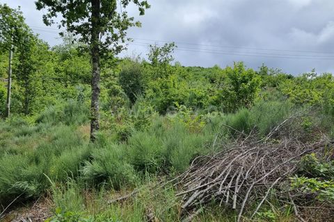 Helårsgrund i Seia, Guarda, Seia - € 30.000 | Ref: 382220302 - foto 4