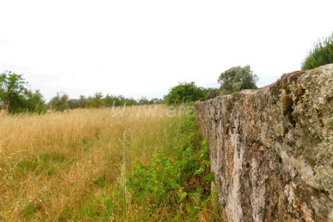 Farm i Seia, Guarda, Seia - € 110.000 | Ref: 382220304 - foto 2