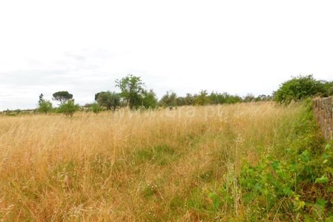 Farm i Seia, Guarda, Seia - € 110.000 | Ref: 382220304 - foto 3