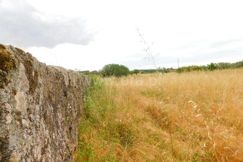 Farm i Seia, Guarda, Seia - € 110.000 | Ref: 382220304 - foto 4