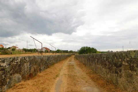 Farm i Seia, Guarda, Seia - € 110.000 | Ref: 382220304 - foto 5