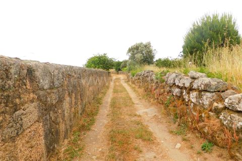 Farm i Seia, Guarda, Seia - € 110.000 | Ref: 382220304 - foto 6
