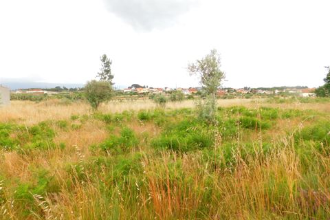 Farm i Seia, Guarda, Seia - € 110.000 | Ref: 382220304 - foto 7