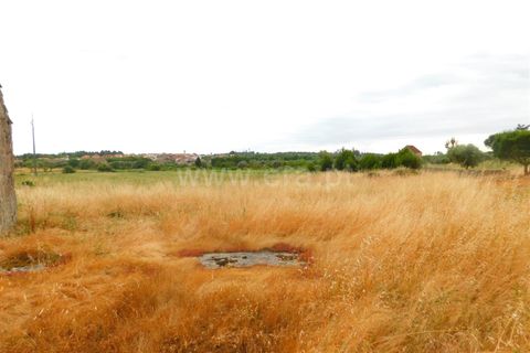 Farm i Seia, Guarda, Seia - € 110.000 | Ref: 382220304 - foto 8