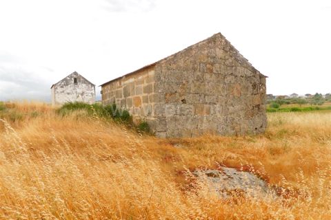 Farm i Seia, Guarda, Seia - € 110.000 | Ref: 382220304 - foto 9